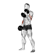 نحوه‌ی اجرای حرکت دمبل هامر جلوبازو