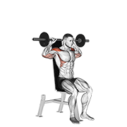 نحوه‌ی اجرای حرکت هالتر نشسته برادفورد راکی پرس