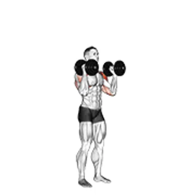 حرکت دمبل ایستاده کف‌دست پرس
