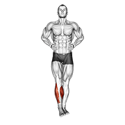 نحوه‌ی اجرای حرکت مچ پا دورانی