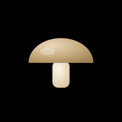 قارچ