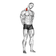 نحوه‌ی اجرای حرکت گردن کناری کشش